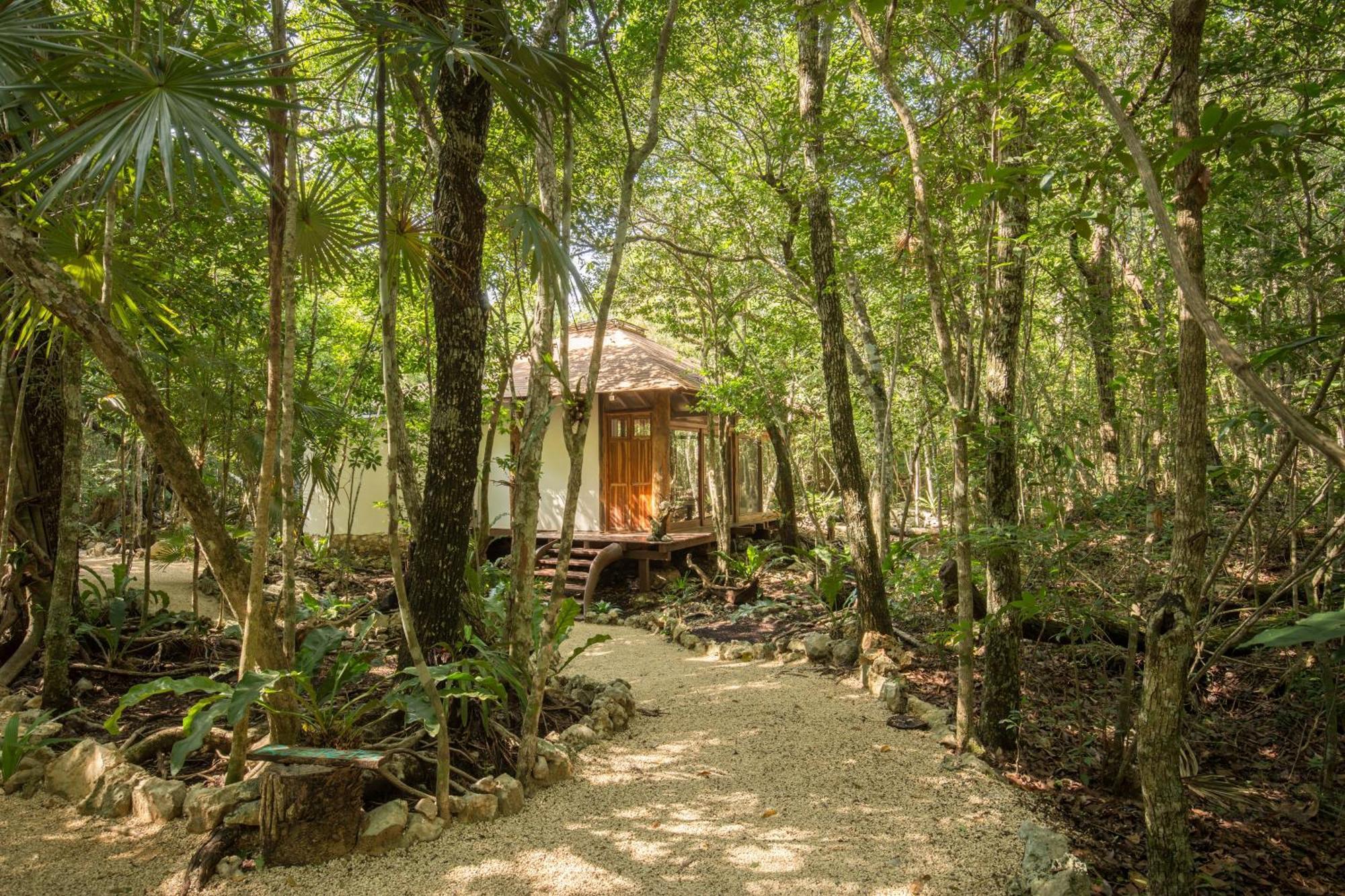 فيلا Pepem Holistic Experience - Peaceful Retreat Near Tulum (Adults Only) المظهر الخارجي الصورة