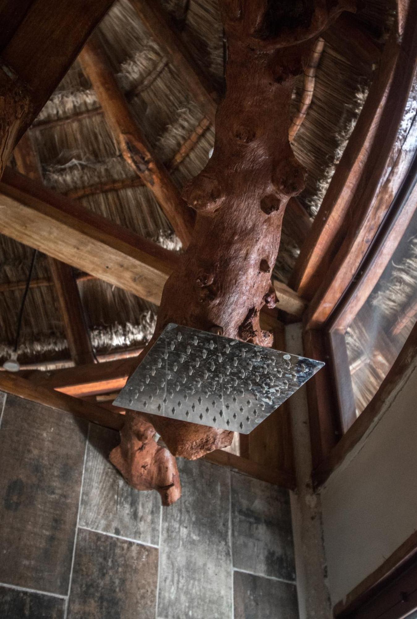 فيلا Pepem Holistic Experience - Peaceful Retreat Near Tulum (Adults Only) المظهر الخارجي الصورة