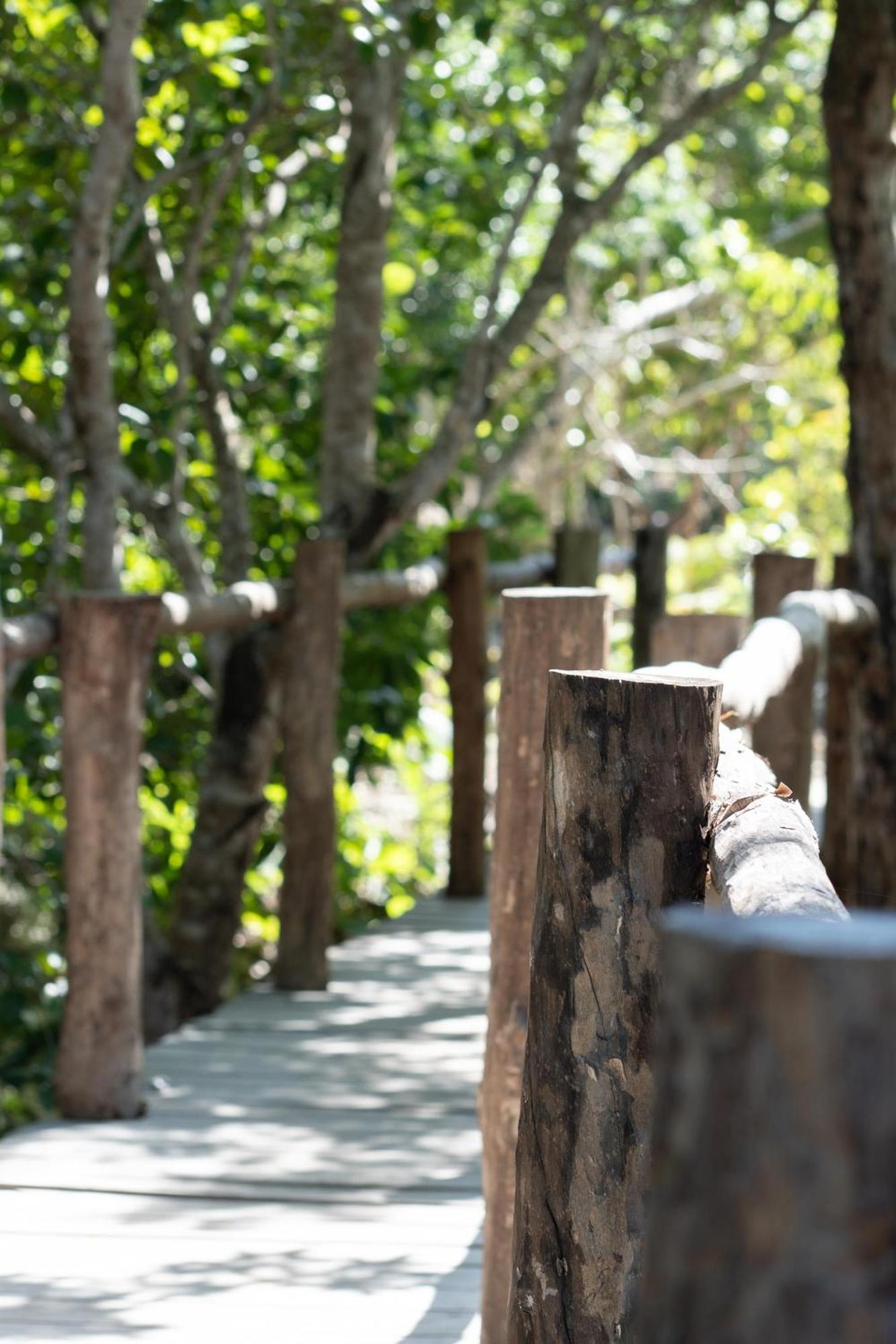 فيلا Pepem Holistic Experience - Peaceful Retreat Near Tulum (Adults Only) المظهر الخارجي الصورة