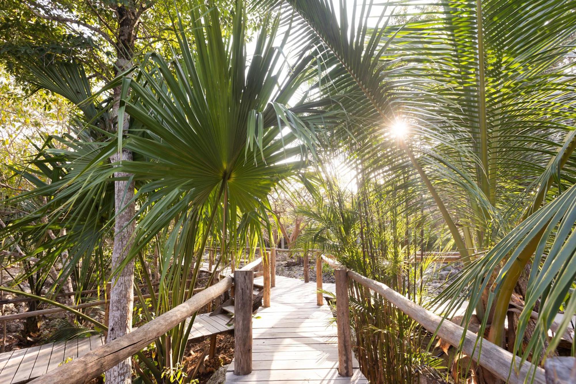 فيلا Pepem Holistic Experience - Peaceful Retreat Near Tulum (Adults Only) المظهر الخارجي الصورة